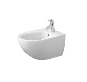 Bidet Bowl